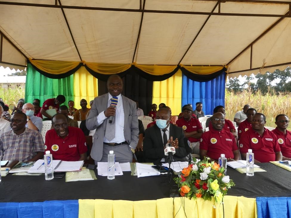 Prof Kabote